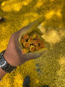 Turmeric Finger