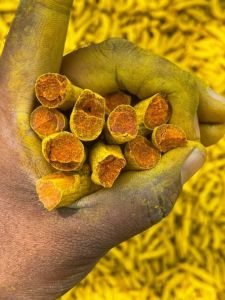 Turmeric Finger
