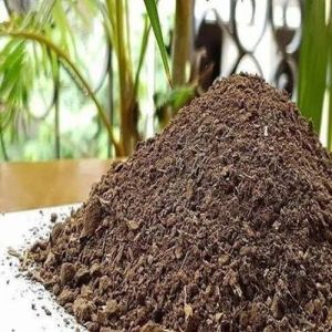 Organic Cow Dung Manure