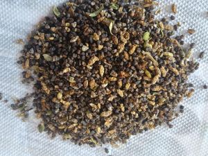 Black Cardamom Seeds