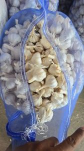 Natural Fresh Garlics