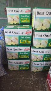 Regular White Fresh Garlic