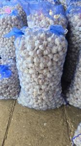 Regular White Fresh Garlic
