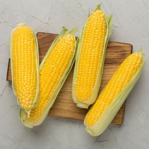 Fresh Sweet Corn