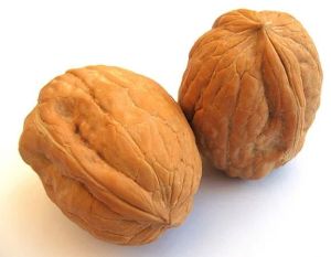 Fresh Whole Walnut