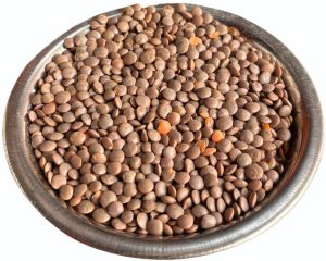 Sabut Masoor Dal