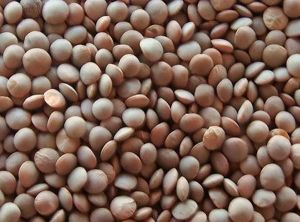 Whole Masoor Dal with Skin