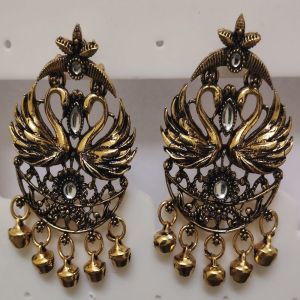 Fancy Earrings