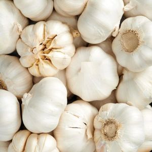 Fresh Raw Garlic