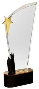 Acrylic Award Trophy