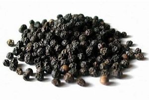 MG1 Black Pepper Seeds