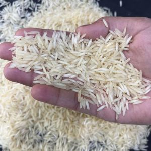 1509 Steam Basmati Rice