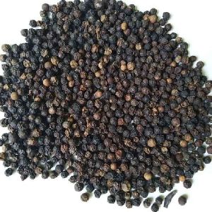 500 GL Black Pepper Seeds