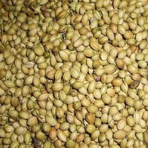 Badami Coriander Seeds