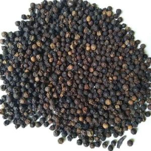Black Pepper Seeds