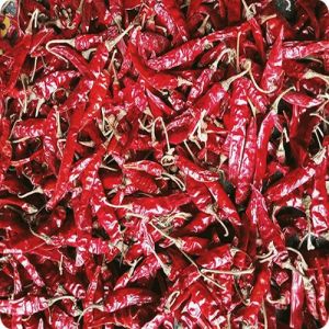 Dried Red Chilli