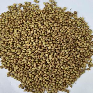 Eagle Coriander Seeds