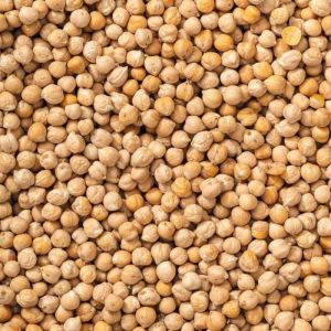 Kabuli Chickpeas