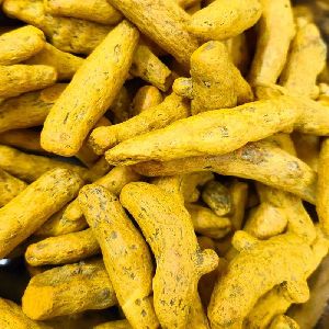 Salem Turmeric Finger