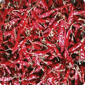 Teja 317 Dried Red Chilli
