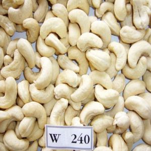 W240 Cashew Nuts