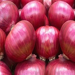 Fresh Big Red Onion