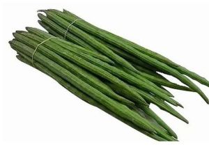 Natural Green Drumstick