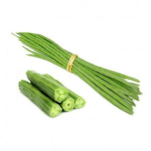 Organic Fresh Drumstick