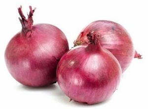 45mm Fresh Red Onion