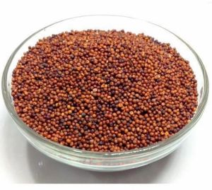 Ragi Finger Millet