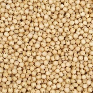 White Sorghum Grain