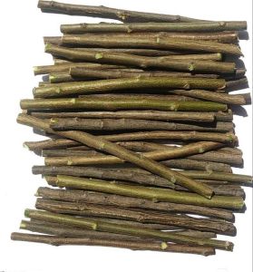 Neem Chew Stick