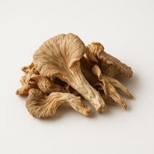 Dried Oyster Mushroom