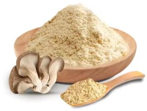 Whole Oyster Mushroom Powder