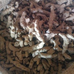 Unpolished Turmeric Finger