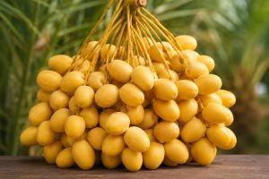 Fresh Yellow Barhi Dates