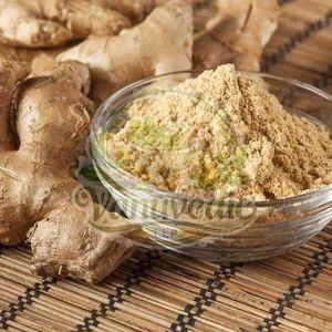 Ginger Extract Powder