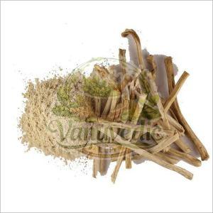 Shatavari Extract Powder