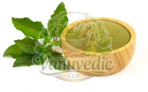 Tulsi Leaves Powder