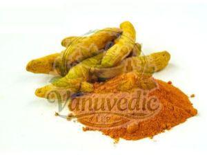 Turmeric Extract Powder