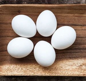 Broiler White Eggs