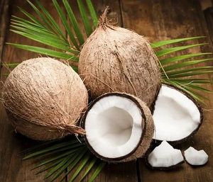 Fully Matured Husked Coconut