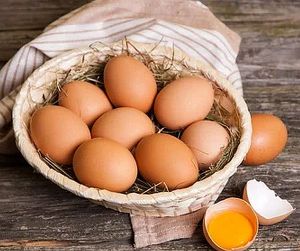 Layer Hen Poultry Eggs