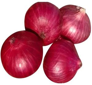 Organic Red Onion