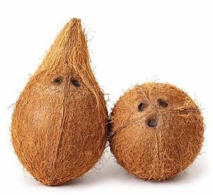 Semi Husked Coconut