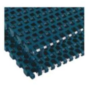 Plastic Modular Belt