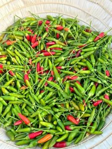 Fresh Birds Eye Chilli