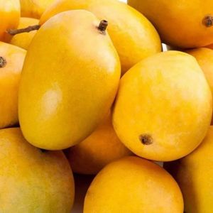 Premium Farm Fresh Mangoes