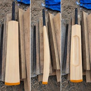 Gold PRO Kashmir Willow Bats