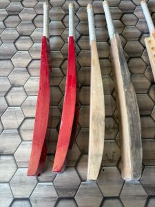 Gold Grade Kashmir Willow Bats